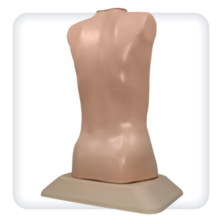 trenazher-auskultacii-serdca-i-legkih-2