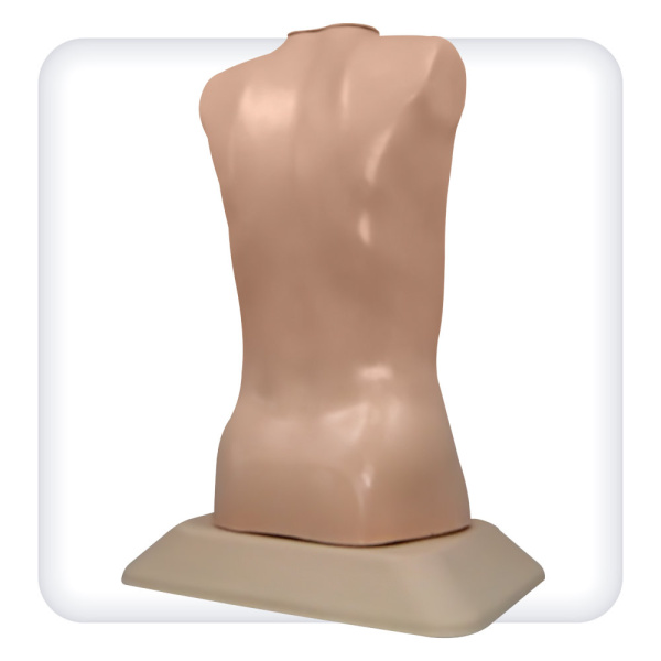 trenazher-auskultacii-serdca-i-legkih-2